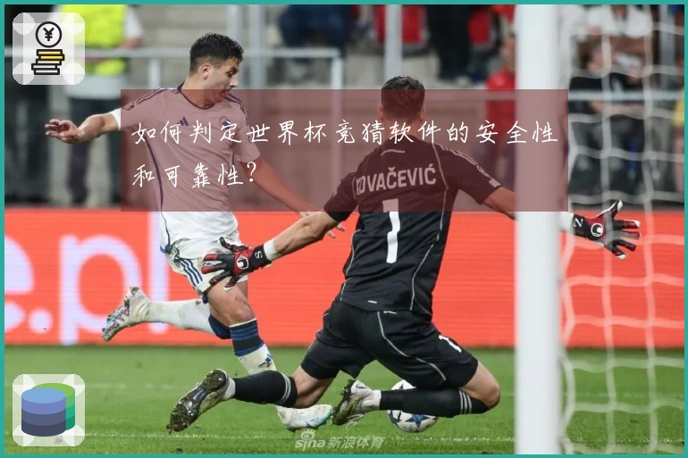 如何判定世界杯竞猜软件的安全性和可靠性？