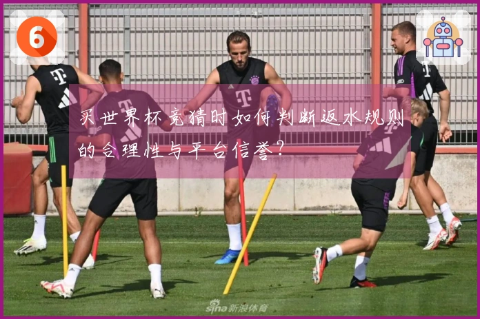 买世界杯竞猜时如何判断返水规则的合理性与平台信誉？