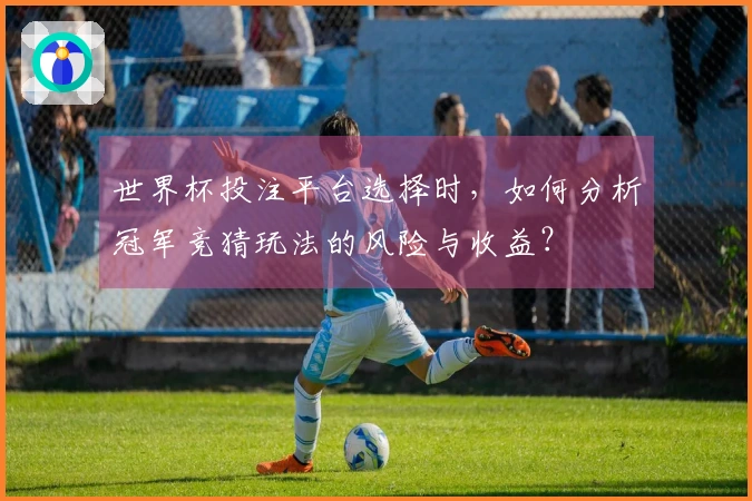 世界杯投注平台选择时，如何分析冠军竞猜玩法的风险与收益？