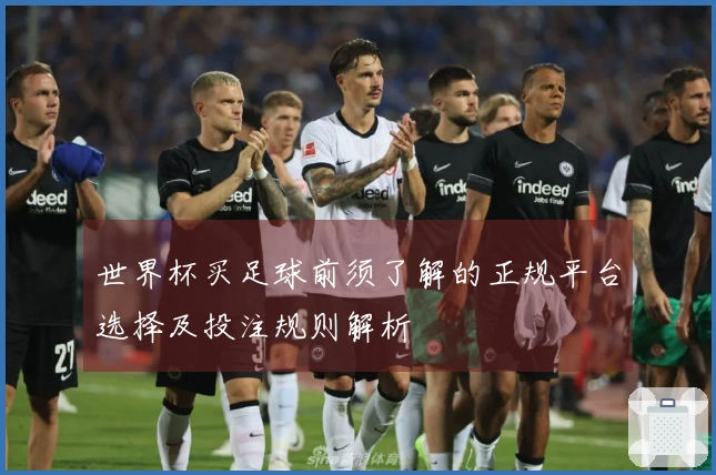 世界杯买足球前须了解的正规平台选择及投注规则解析