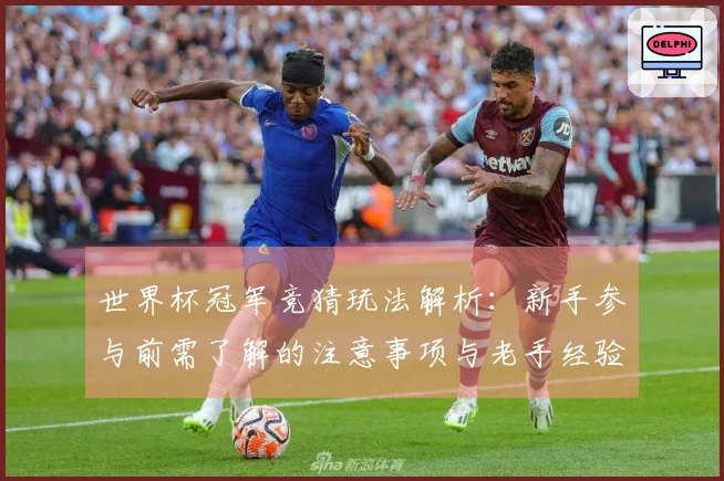 世界杯冠军竞猜玩法解析：新手参与前需了解的注意事项与老手经验分享
